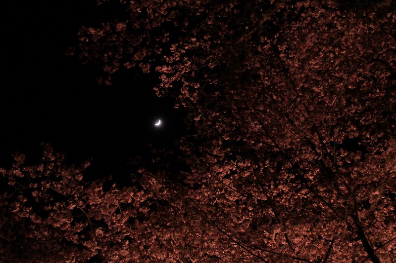f0238919_19275497.jpg