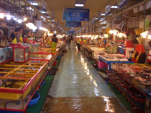 c0020320_2314117.jpg