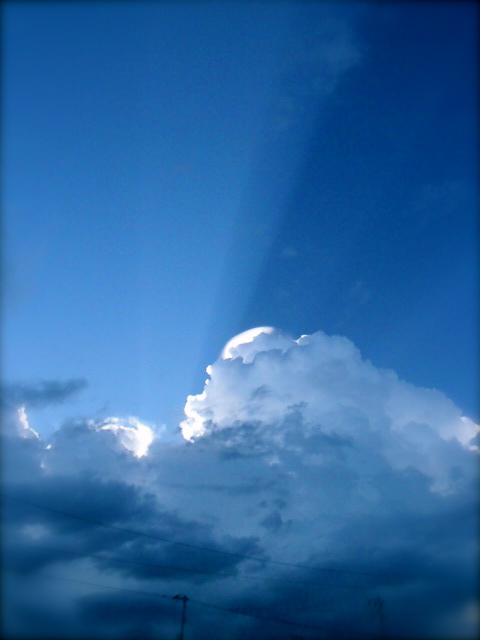 e0136620_1749116.jpg