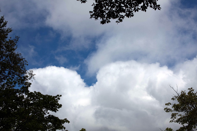 c0064025_1844357.jpg