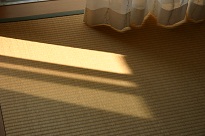 c0157226_1435967.jpg