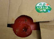 c0157226_1443237.jpg