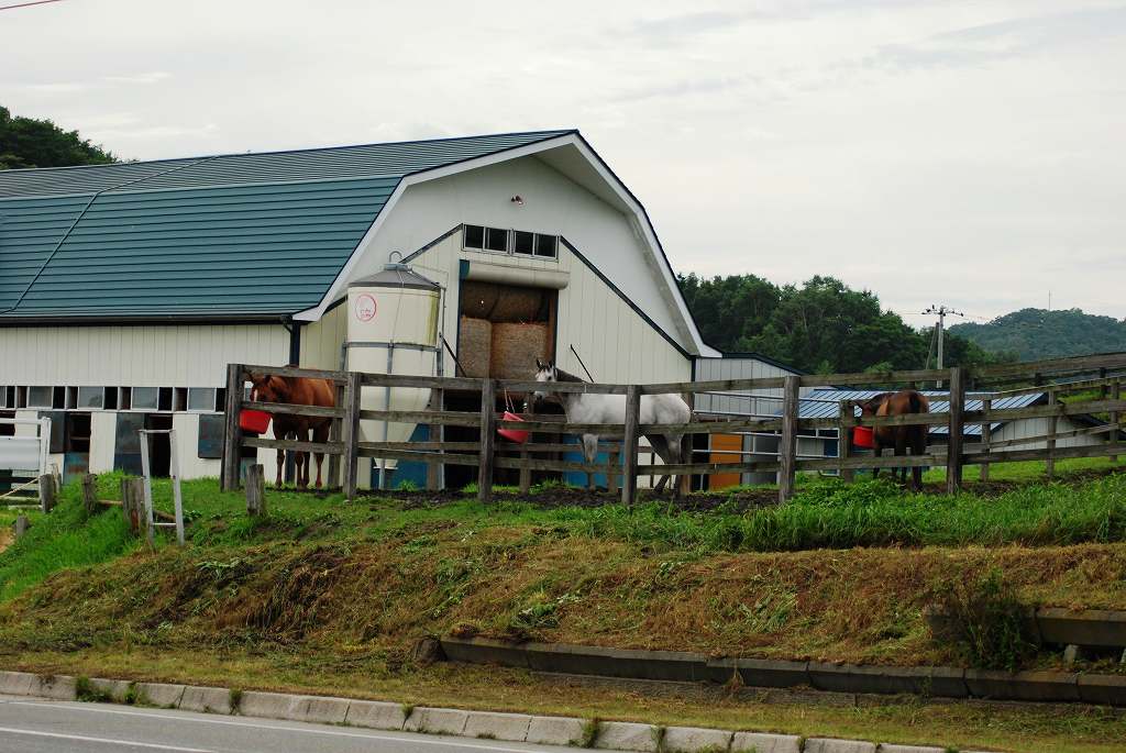 d0109428_131627.jpg