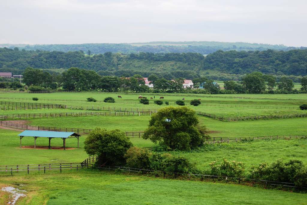 d0109428_131888.jpg