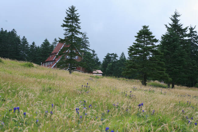 f0017530_19562424.jpg