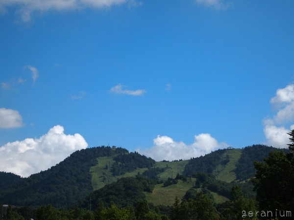 c0133533_0273766.jpg