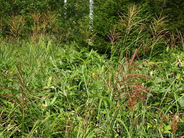 c0133533_031156.jpg