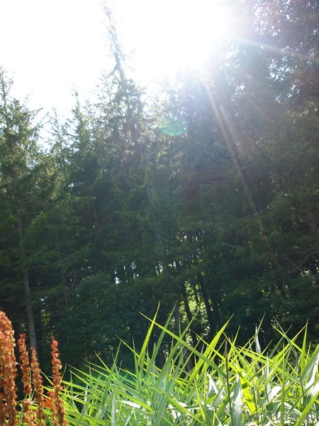 c0133533_03237.jpg