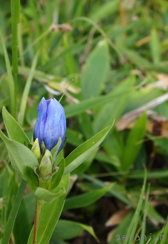 c0133533_0351559.jpg