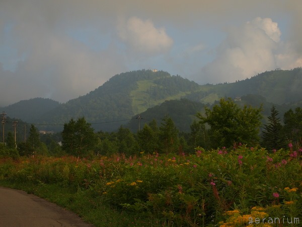 c0133533_037564.jpg