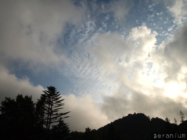 c0133533_0402587.jpg
