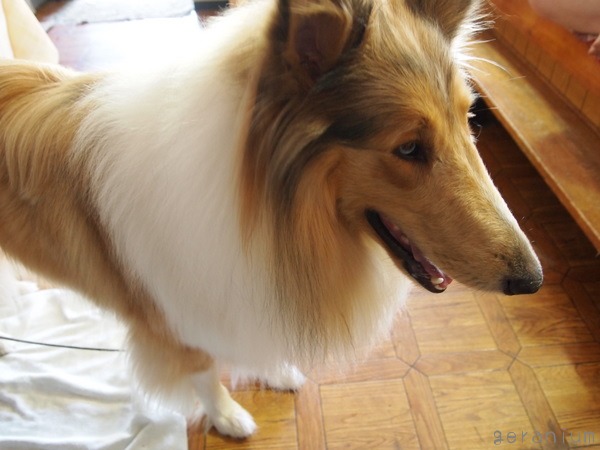 c0133533_0522251.jpg