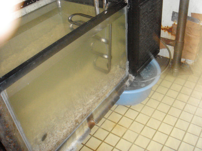 f0208737_8323470.jpg