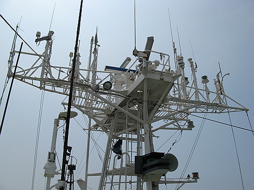 c0041039_5555319.jpg