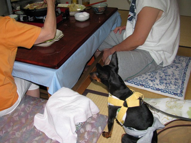 e0150843_172662.jpg