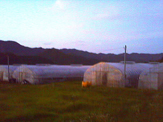 c0084251_10403753.jpg