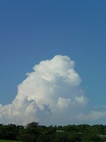 f0168256_17552100.jpg