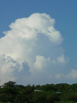 f0168256_177169.jpg