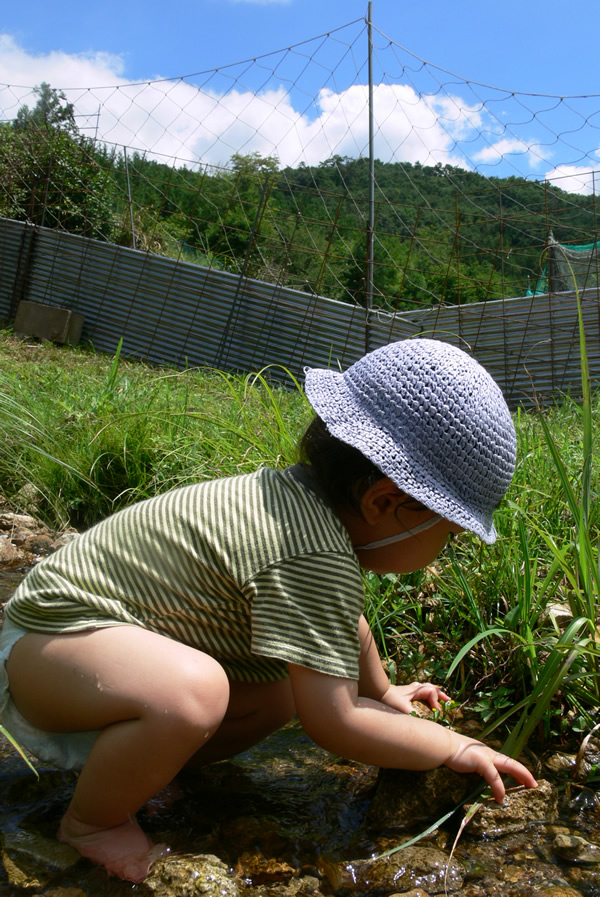 b0137759_061137.jpg