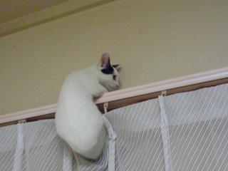 f0221360_20324872.jpg