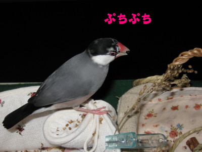 b0158061_21552552.jpg