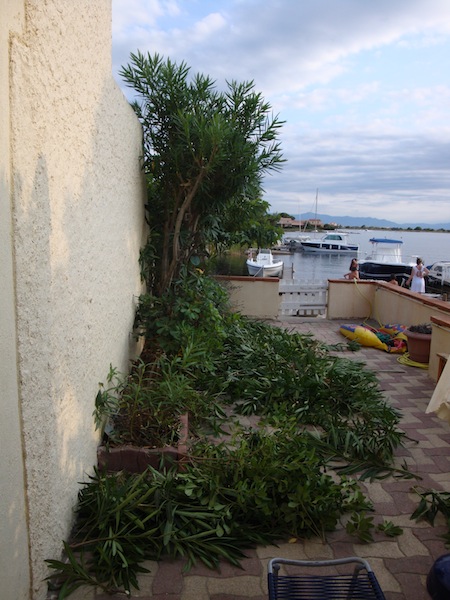 e0176262_18214548.jpg
