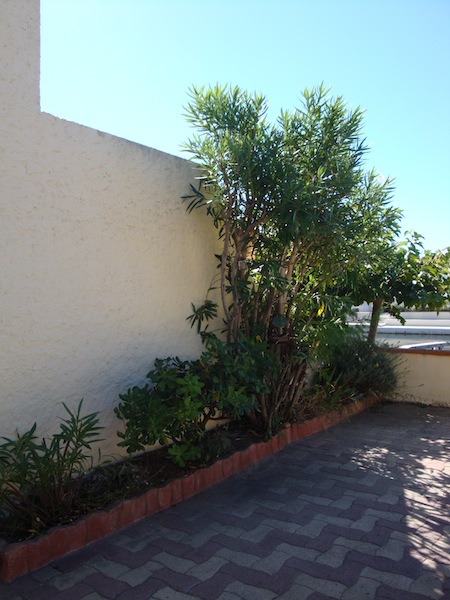 e0176262_1822362.jpg