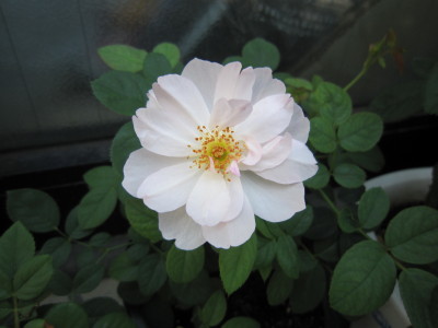 c0202870_22252847.jpg