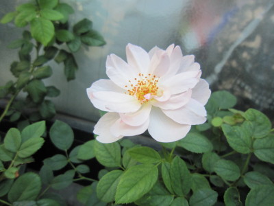 c0202870_22254528.jpg