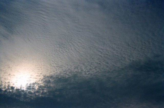 f0234172_18541875.jpg