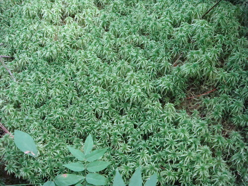f0231573_21512088.jpg