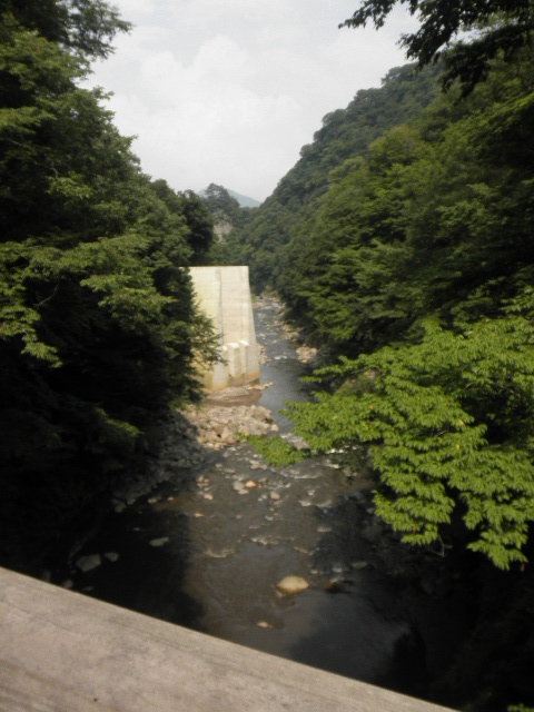 a0118079_09214.jpg