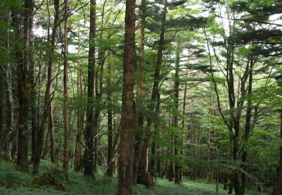 c0144185_16465746.jpg