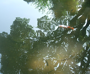 d0129295_1549460.jpg