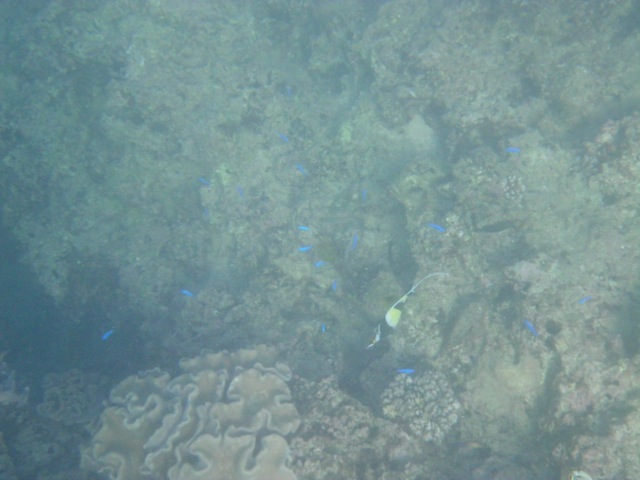 c0193396_1030893.jpg