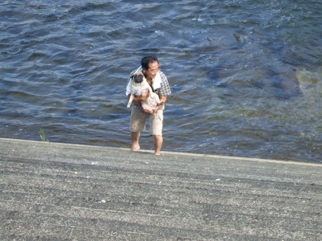 f0019498_20433097.jpg
