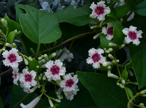 a0031000_17164958.jpg