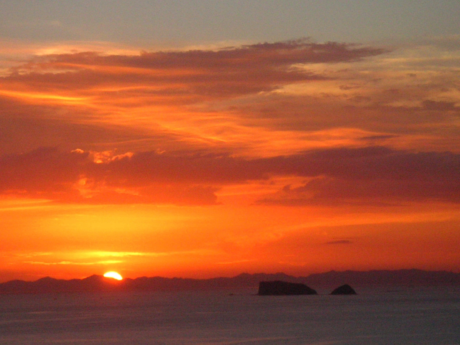 f0146802_8471046.jpg