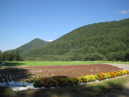 e0183804_1675469.jpg