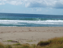 f0048405_9432044.jpg