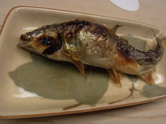 a0091907_1450153.jpg
