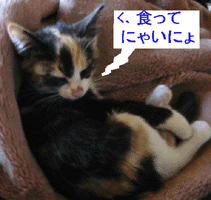 e0103408_1875660.gif