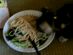 e0103408_1882078.gif