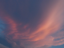 f0221708_1340333.jpg