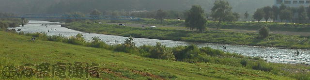 b0172209_913943.jpg