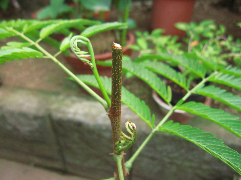 f0234209_1071226.jpg