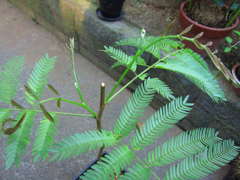 f0234209_1073256.jpg