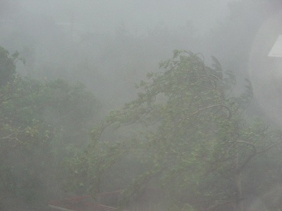 e0071811_22165046.jpg