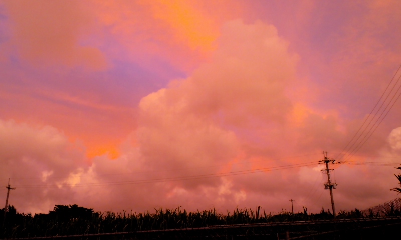 e0071811_22244667.jpg