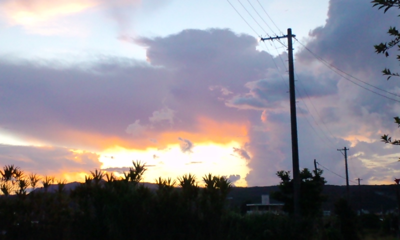 e0071811_2226565.jpg